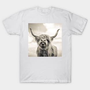 Cheeky Highland Cow T-Shirt